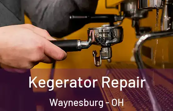  Kegerator Repair Waynesburg - OH