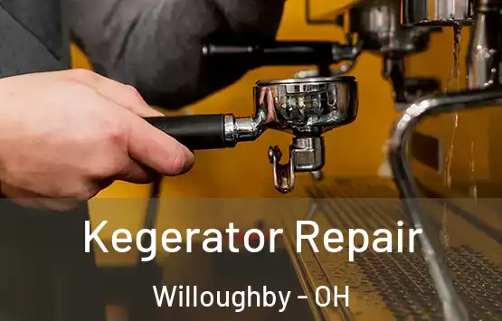  Kegerator Repair Willoughby - OH