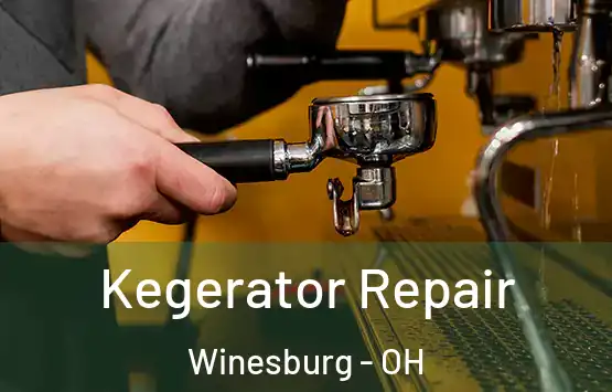  Kegerator Repair Winesburg - OH
