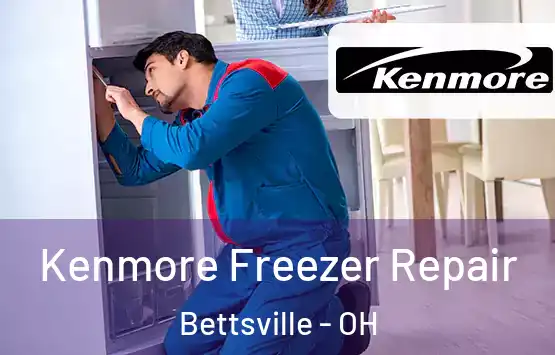  Kenmore Freezer Repair Bettsville - OH