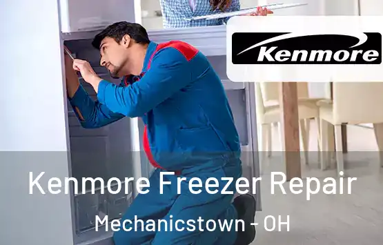  Kenmore Freezer Repair Mechanicstown - OH