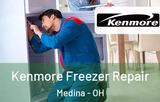  Kenmore Freezer Repair Medina - OH