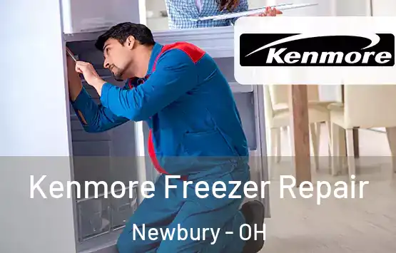  Kenmore Freezer Repair Newbury - OH