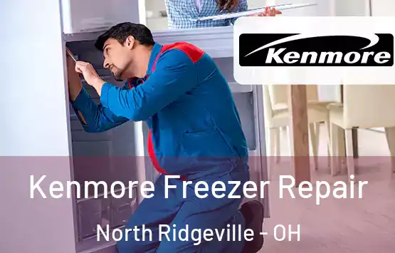  Kenmore Freezer Repair North Ridgeville - OH