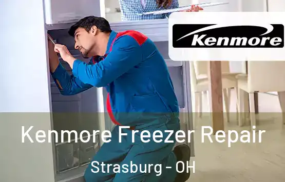  Kenmore Freezer Repair Strasburg - OH