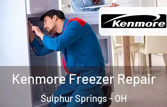  Kenmore Freezer Repair Sulphur Springs - OH