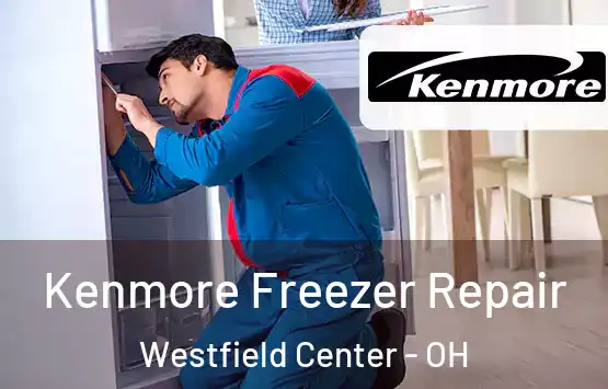  Kenmore Freezer Repair Westfield Center - OH