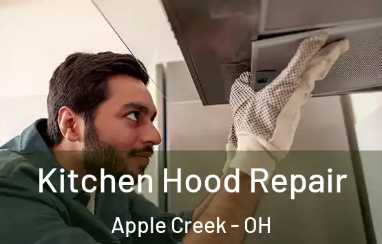  Kitchen Hood Repair Apple Creek - OH