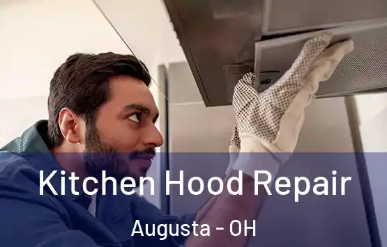 Kitchen Hood Repair Augusta - OH