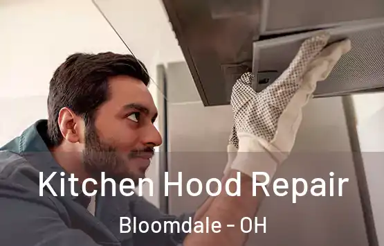  Kitchen Hood Repair Bloomdale - OH
