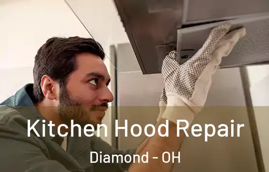  Kitchen Hood Repair Diamond - OH