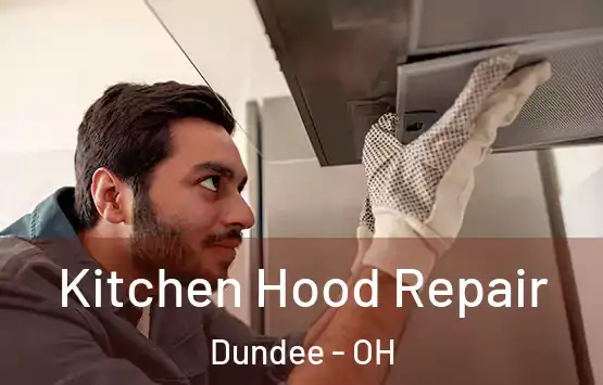  Kitchen Hood Repair Dundee - OH