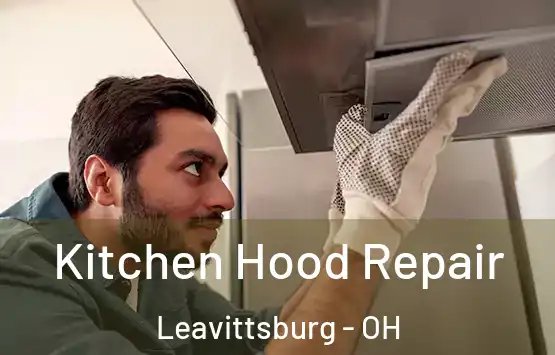  Kitchen Hood Repair Leavittsburg - OH