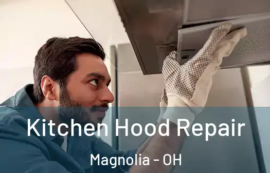  Kitchen Hood Repair Magnolia - OH