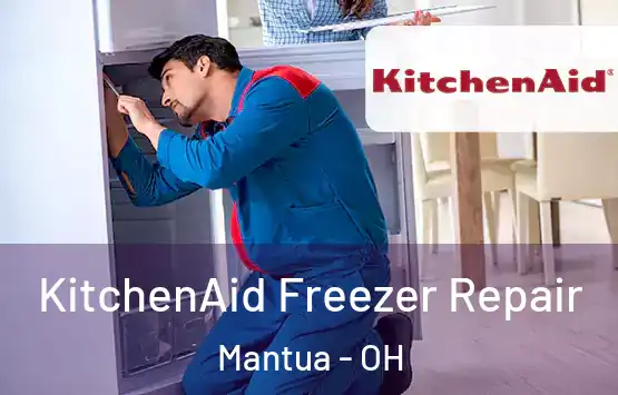  KitchenAid Freezer Repair Mantua - OH