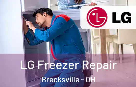  LG Freezer Repair Brecksville - OH