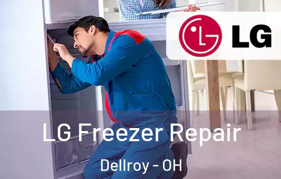  LG Freezer Repair Dellroy - OH