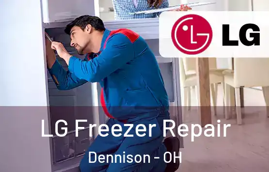  LG Freezer Repair Dennison - OH