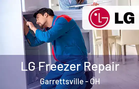  LG Freezer Repair Garrettsville - OH