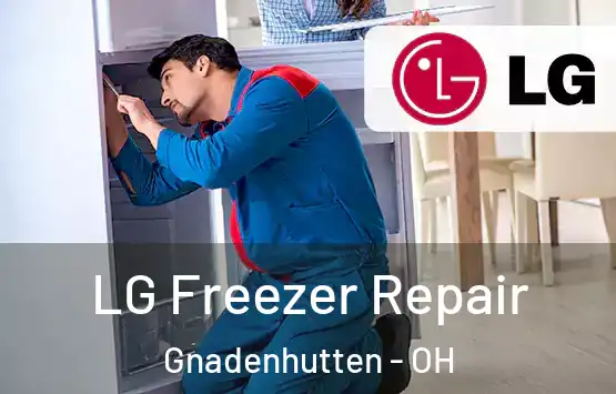  LG Freezer Repair Gnadenhutten - OH