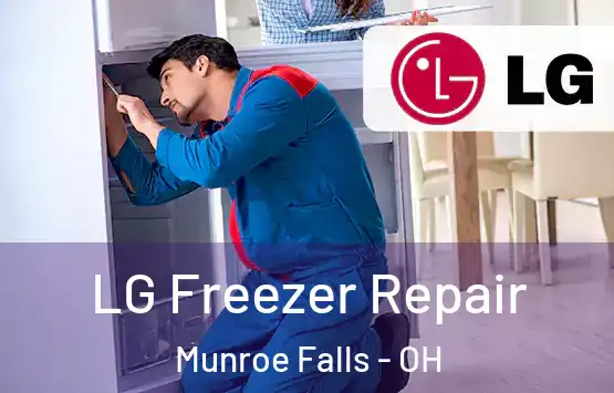  LG Freezer Repair Munroe Falls - OH
