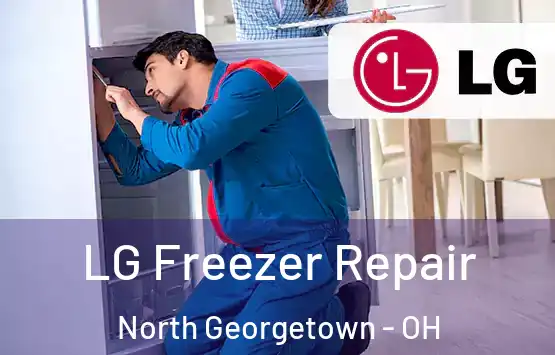  LG Freezer Repair North Georgetown - OH