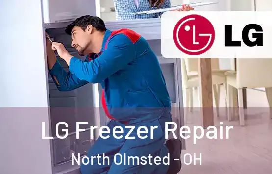  LG Freezer Repair North Olmsted - OH