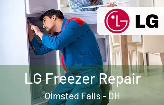 LG Freezer Repair Olmsted Falls - OH