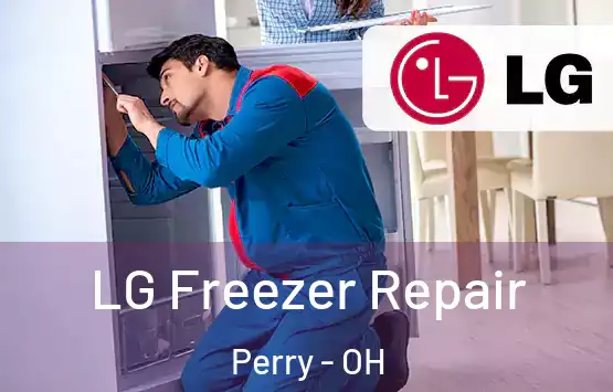  LG Freezer Repair Perry - OH