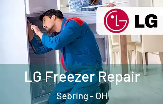  LG Freezer Repair Sebring - OH