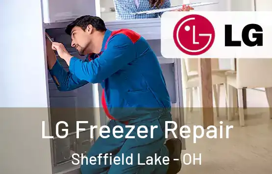  LG Freezer Repair Sheffield Lake - OH