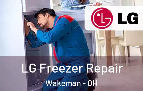  LG Freezer Repair Wakeman - OH