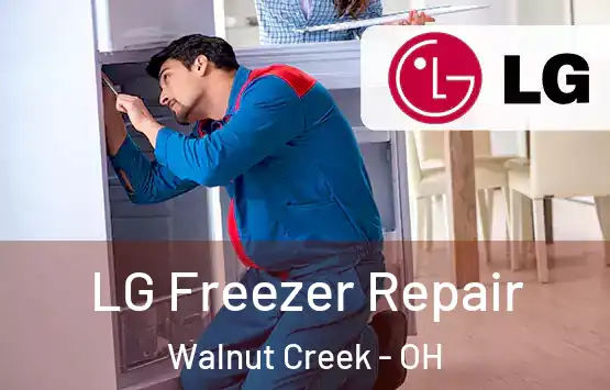  LG Freezer Repair Walnut Creek - OH
