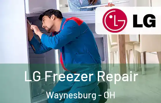  LG Freezer Repair Waynesburg - OH