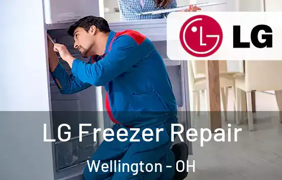  LG Freezer Repair Wellington - OH