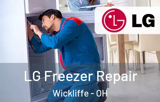  LG Freezer Repair Wickliffe - OH