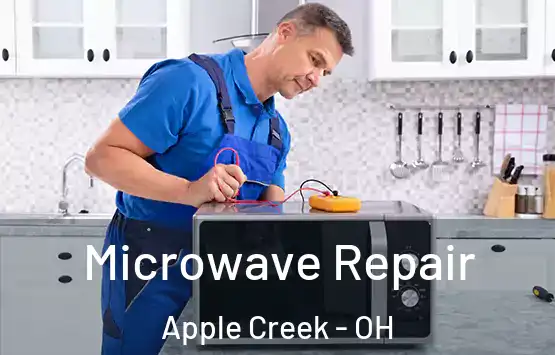  Microwave Repair Apple Creek - OH