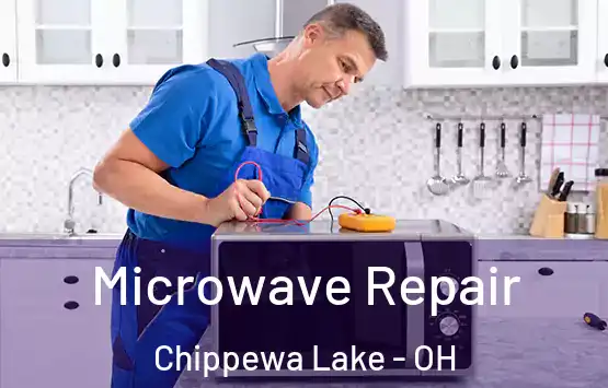  Microwave Repair Chippewa Lake - OH