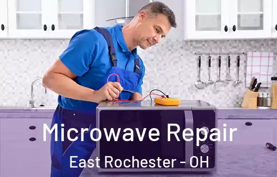  Microwave Repair East Rochester - OH