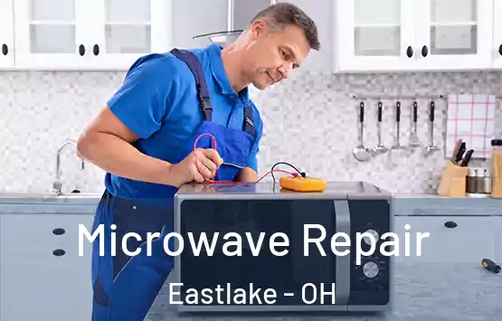  Microwave Repair Eastlake - OH