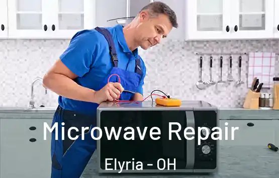  Microwave Repair Elyria - OH