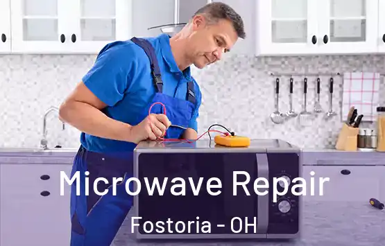  Microwave Repair Fostoria - OH