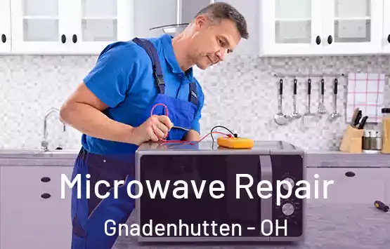  Microwave Repair Gnadenhutten - OH