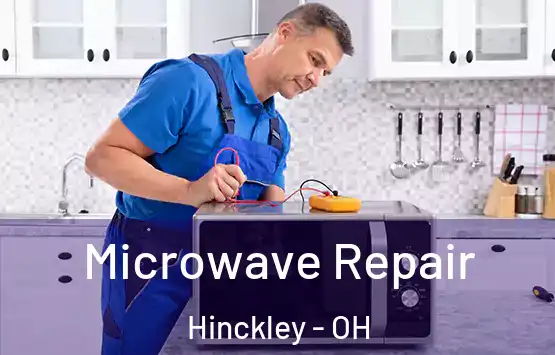  Microwave Repair Hinckley - OH