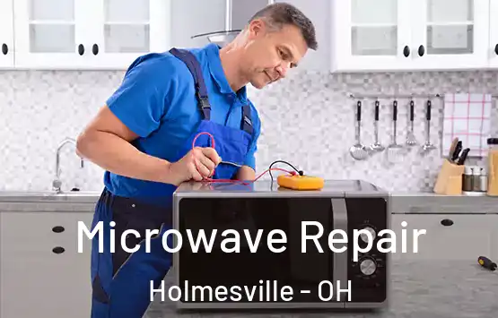  Microwave Repair Holmesville - OH