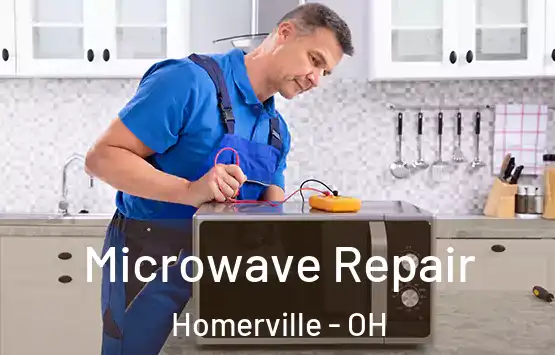  Microwave Repair Homerville - OH
