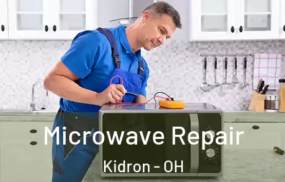  Microwave Repair Kidron - OH