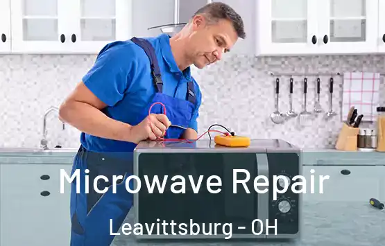  Microwave Repair Leavittsburg - OH