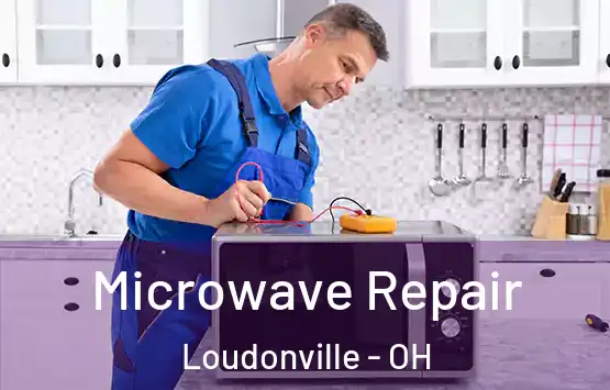  Microwave Repair Loudonville - OH