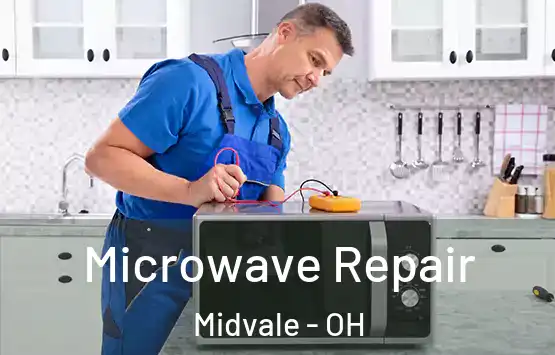  Microwave Repair Midvale - OH